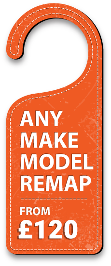 tag-120 Economy ECU remap